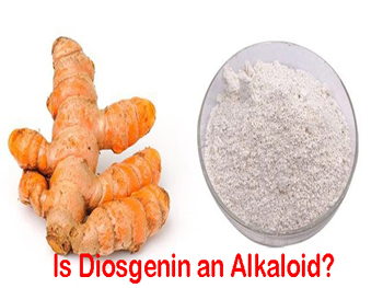 Is Diosgenin an Alkaloid?
